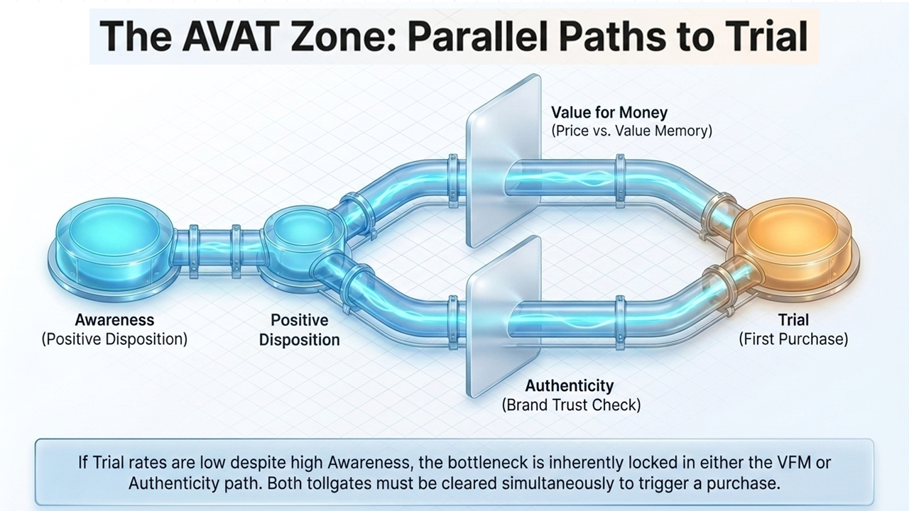 The AVAT Zone: Parallel Paths to Trial